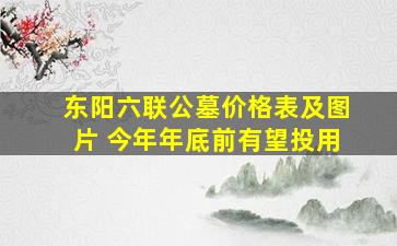 东阳六联公墓价格表及图片 今年年底前有望投用